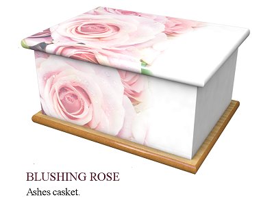 Blushing rose ashes casket